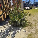Dağ evi 4-6 Pers-piscine Chauffee-150m Jullouville-les-Pins