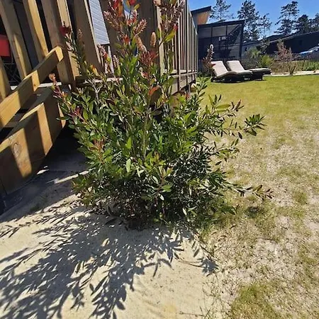 Chalet 4-6 Pers-piscine Chauffée-150m Jullouville-les-Pins